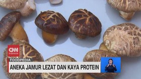 VIDEO: Aneka Jamur Lezat dan Kaya Protein
