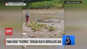 VIDEO: Emak-emak 'Ngobrol' dengan Buaya Berkalung Ban