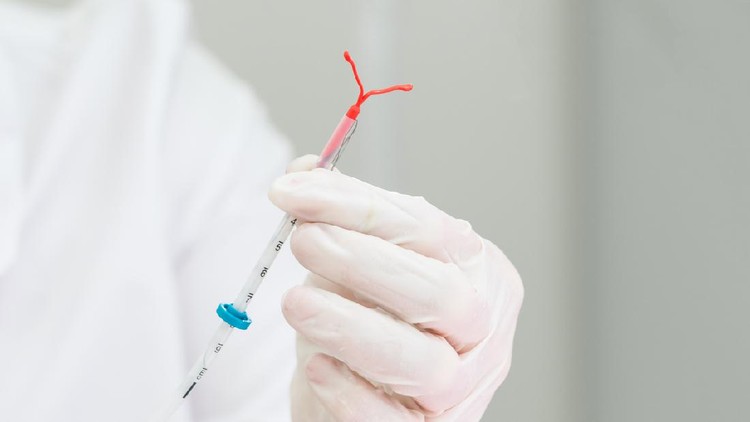 Ilustrasi KB IUD Holding an IUD birth control copper coil device in hand, used for contraception - front view