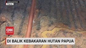 VIDEO: Di Balik Kebakaran Hutan Papua
