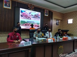 Polisi Tangkap Pelaku Pembalak Liar di Sumedang, 70 Batang Kayu Disita