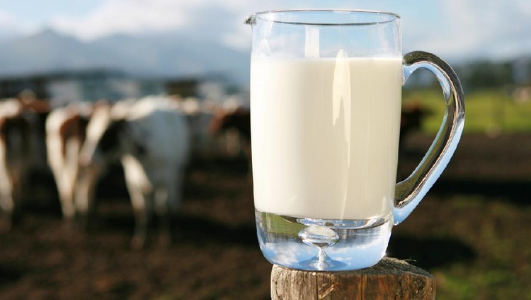 Rasulullah SAW Suka Minum Susu Kambing