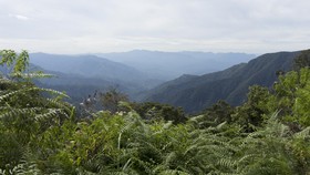 Penampakan Bukit Algoritma di Google Maps