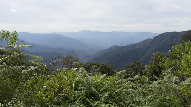 Bukit Algoritma di Sukabumi muncul di google maps dan berjarak 109 km dari Tendean, Jakarta.