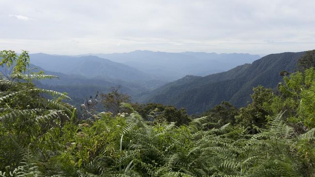 Penampakan Bukit Algoritma di Google Maps Bukit Algoritma di Sukabumi muncul di google maps dan berjarak 109 km dari Tendean, Jakarta.