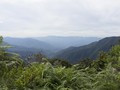 Penampakan Bukit Algoritma di Google Maps