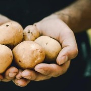Olah Kentang di Rumah dengan Resep Berikut Ini