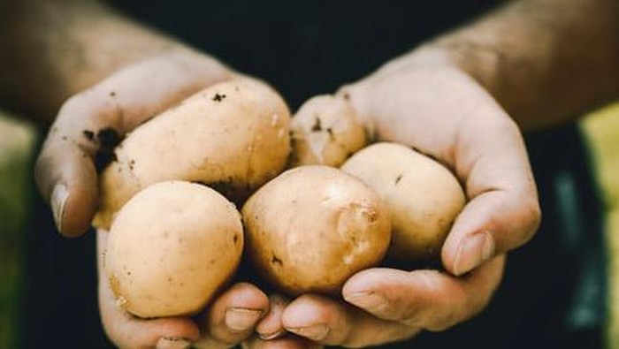 Olah Kentang di Rumah dengan Resep Berikut Ini