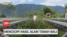 VIDEO: Mencicipi Hasil Alam Tanah Bali