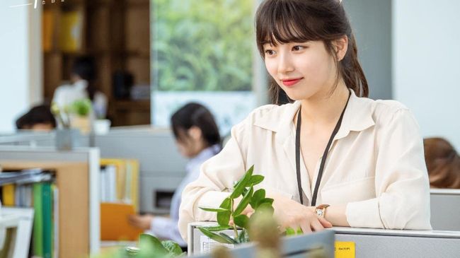 Tanaman giok atau jade plants juga banyak digemari, salah satunya karena drama Korea Start Up.
