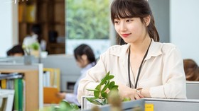 Jade Plants, Tanaman Hias Keberuntungan Seo Dal-mi-Nam Do-san