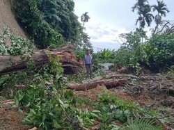 Basarnas Sebut Tinggal 1 Korban Longsor Sibolangit yang Belum Ditemukan