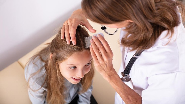 A mother checking her daughter's hair for head-lice using a nit comb