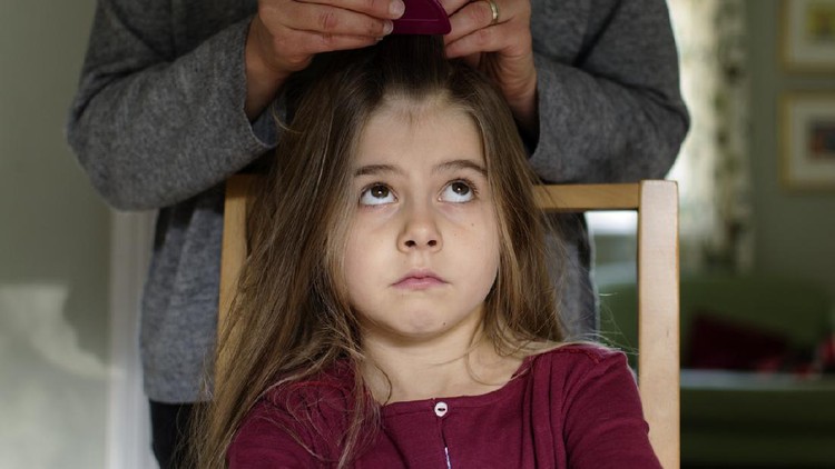 Rambut Anak A mother checking her daughter's hair for head-lice using a nit comb