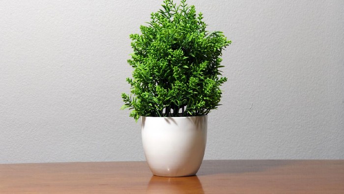 Green plastic tree in the white pot on the wooden table and bright grey color of background.