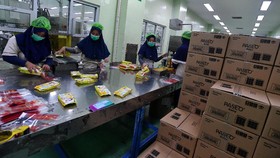 img-title Aktivitas Pabrik RI Pulih, PMI Manufaktur Naik ke Posisi 51,3