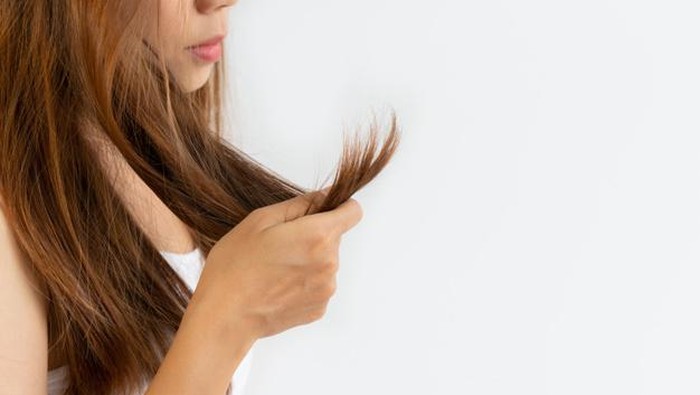 DIY Masker dari Bahan Alami untuk Mengatasi Rambut Rusak DIY Masker dari Bahan Alami untuk Mengatasi Rambut Rusak