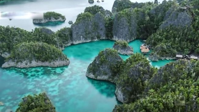 Bicara soal wisata bahari #DiIndonesiaAja, rasanya Raja Ampat belum tergantikan dengan dive center yang tersebar di seluruh penjuru.