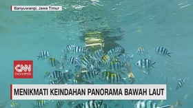 VIDEO: Menikmati Keindahan Panorama Bawah Laut