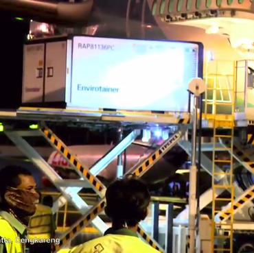 Vaksin Covid-19 Sinovac Sudah Tiba Malam Ini di Indonesia