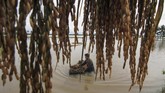 FOTO: Air Bah Banjiri Kawasan Aceh Timur dan Aceh Utara Sebanyak 27 ribu warga Aceh mengungsi karena rumahnya terendam banjir. Daerah terparah berada di Kabupaten Aceh Utara dan Aceh Timur.