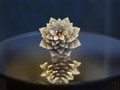 Cincin dengan 12.638 Berlian Masuk Guinness World Records