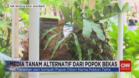 VIDEO: Media Tanam Alternatif dari Popok Bekas