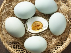 Cara Merebus Telur Bebek dan Manfaatnya Jika Dimakan Setiap Hari