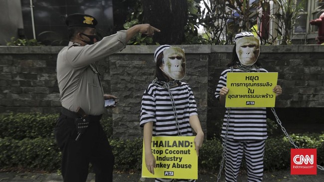 FOTO: Aksi Tolak Eksploitasi Monyet di Thailand