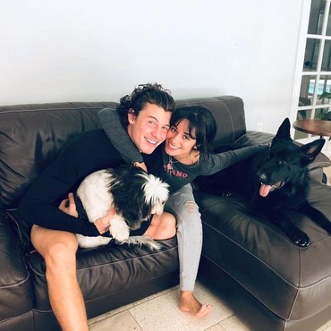 Waduh! Rumah Shawn Mendes & Camila Cabello Kemalingan, Mobilnya Hilang