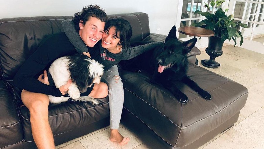 Dipanggil Menantu oleh Ayah Shawn Mendes, Camila Cabello Siap Nikah?