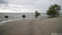 Lirik Lagu Himne Aceh - Mahrisal Rubi