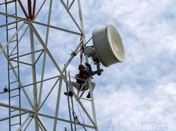 Hari Ini Smartfren, Telkomsel, XL Axiata Adu Harga di Lelang Frekuensi 5G