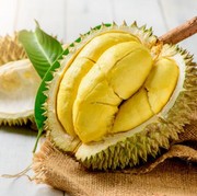 Tak Hanya Lezat, Durian Punya Manfaat Kesehatan Ini