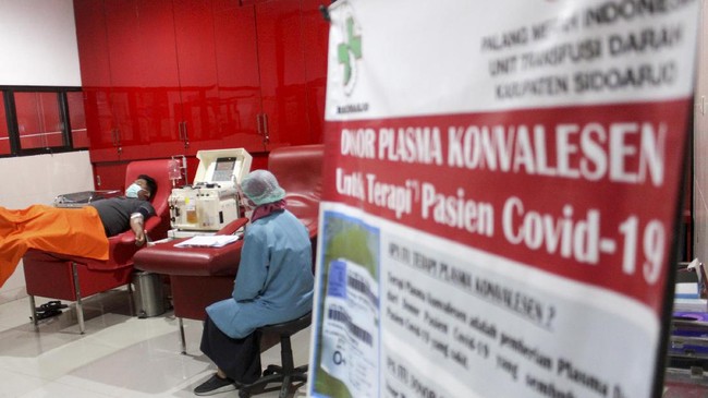 Foto Minimnya Pendonor Plasma Darah Konvalesen Untuk Covid