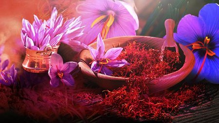 Saffron Rempah Termahal Dunia