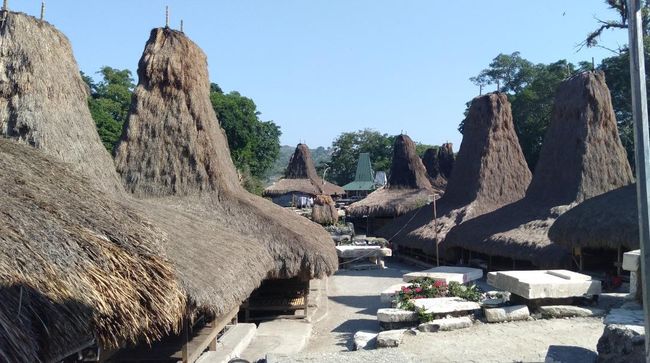 Rumah adat adalah rumah khas dari masing-masing suku bangsa di Indonesia. Berikut daftar nama rumah adat dari 38 provinsi di Indonesia.