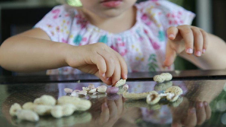 Anak makan kacang