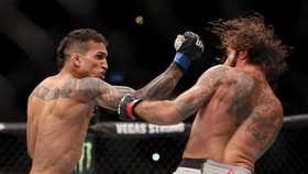 Prediksi UFC 262 Oliveira vs Chandler