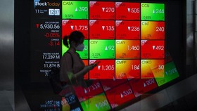 Literasi Keuangan Naik, Saham Kini Jadi Mahar Pernikahan