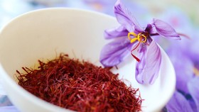Menguak Efek Samping Saffron, Rempah Termahal di Dunia
