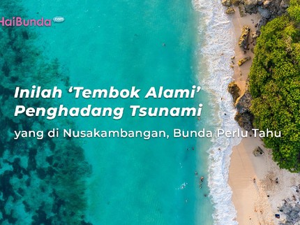 Inilah 'Tembok Alami' Penghadang Tsunami yang di Nusakambangan, Bunda Perlu Tahu