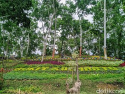 10 Lokasi Liburan Keluarga Ramah Anak di Ponorogo