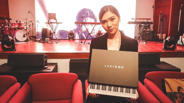 Gak Kalah dari K-Pop, 3 Musisi Indonesia Ini Juga Punya Set Album Keren