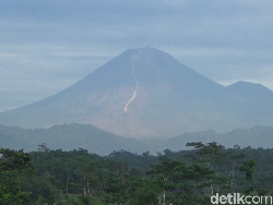 Gunung Semeru Kembali Luncurkan Awan Panas, Jarak Luncur Sejauh 3,5 Km