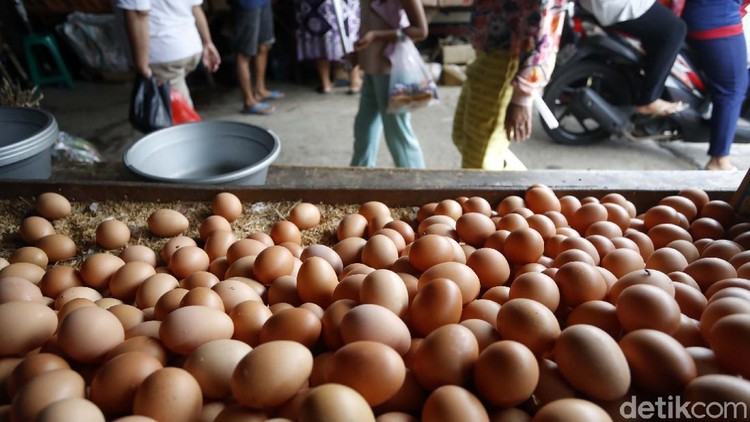 Menjelang hari Natal dan Tahun Baru, harga telur ayam di pasar tradisional merangkak naik.

 Harga telur ayam kini bertengger di Rp 28.000/kilogram.
