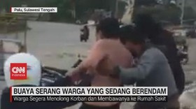 VIDEO: Buaya Serang Warga yang Sedang Berendam