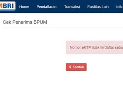 Cek Penerima BPUM di eform.bri.co.id/bpum untuk Klaim BLT UMKM