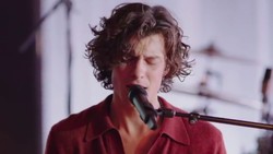 Lirik Lagu Why Why Why - Shawn Mendes