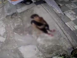 Viral Video Pria Diduga Penculik Anak di Bandung, Polisi Turun Tangan